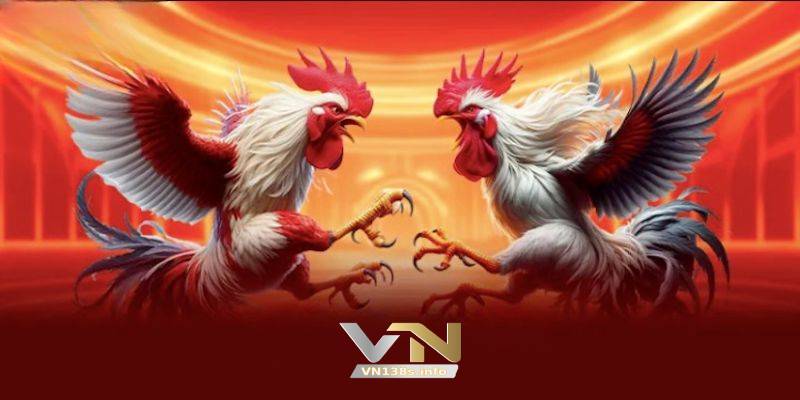 BJ888 – Link Truy Cập Chính Thức Sảnh Cược Đá Gà Online Đẳng Cấp Nhất Châu Á 5 Cách Tham Gia Cá Cược Đá Gà Trực Tuyến Tại BJ888